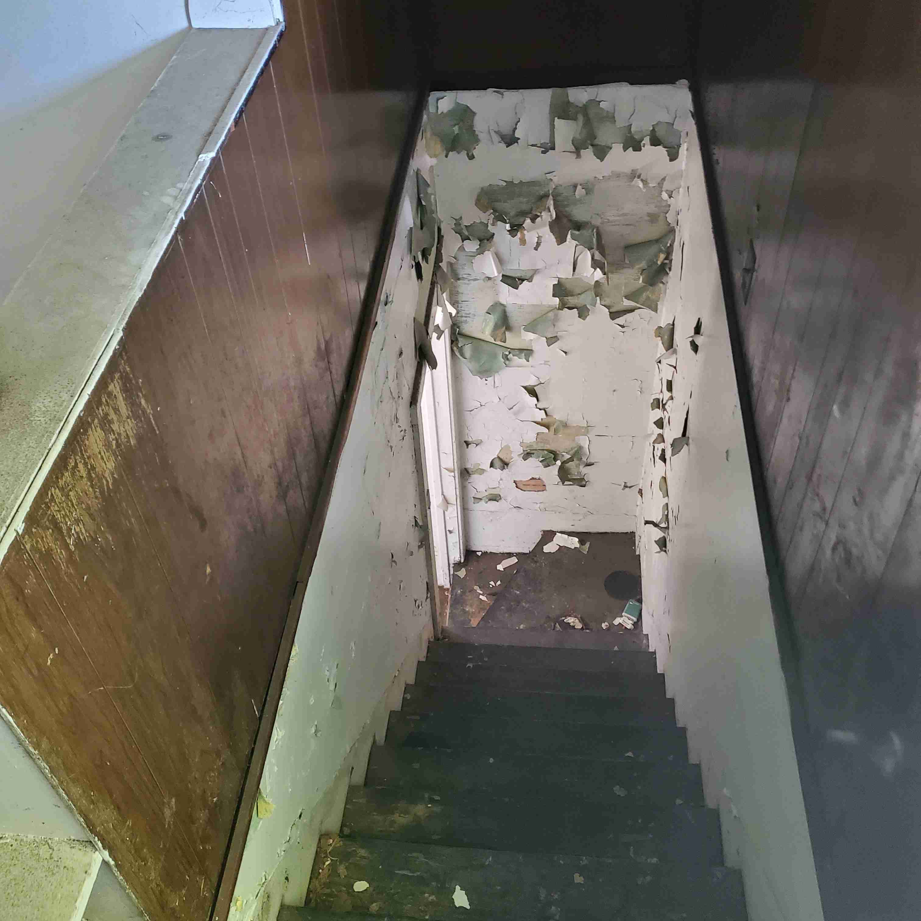 20200812_154324 (2).jpg